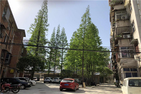 山工苑生活区127平方吉房出售