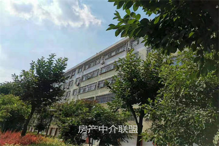 东平清河上城楼王位置出售三室两厅一卫带储藏室